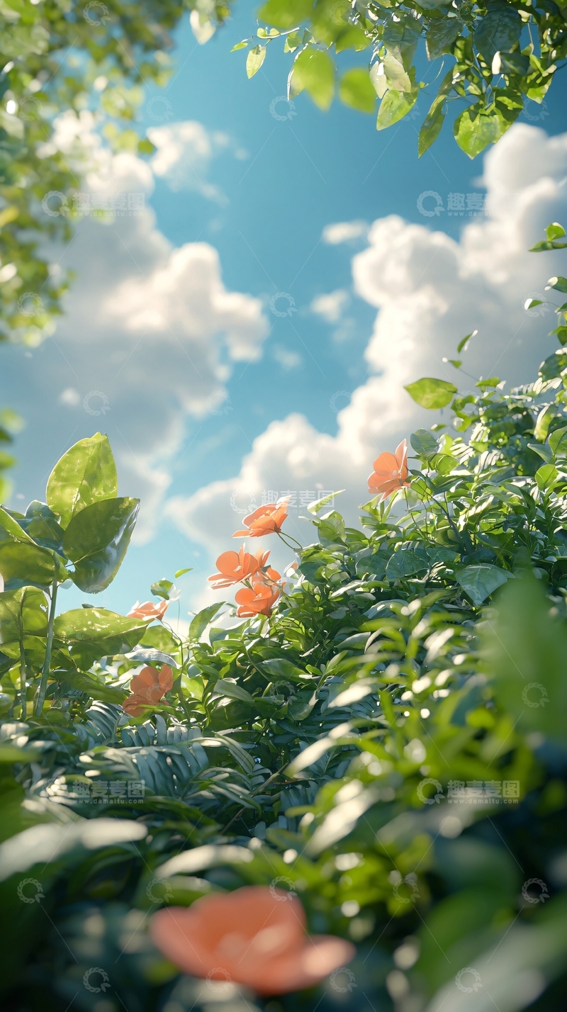 高清大图下载【趣麦麦图】夏日花园中的橙色花朵