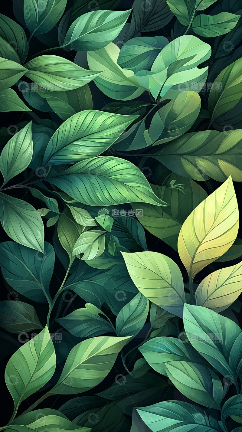 高清大图下载【趣麦麦图】深绿色叶子背景素材