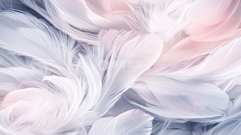 高清大图下载【趣麦麦图】羽毛纹理背景素材