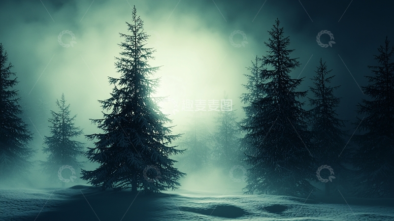 高清大图下载【趣麦麦图】冬夜森林雪景