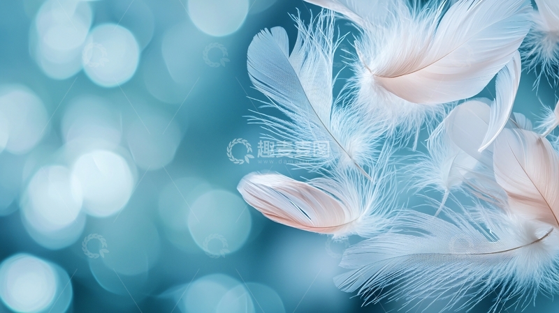 高清大图下载【趣麦麦图】飘逸羽毛背景素材