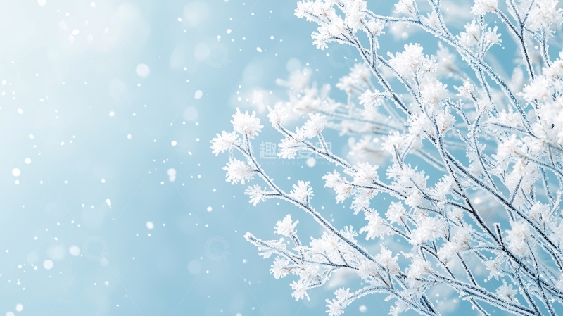 高清大图下载【趣麦麦图】冬日雪景树枝背景