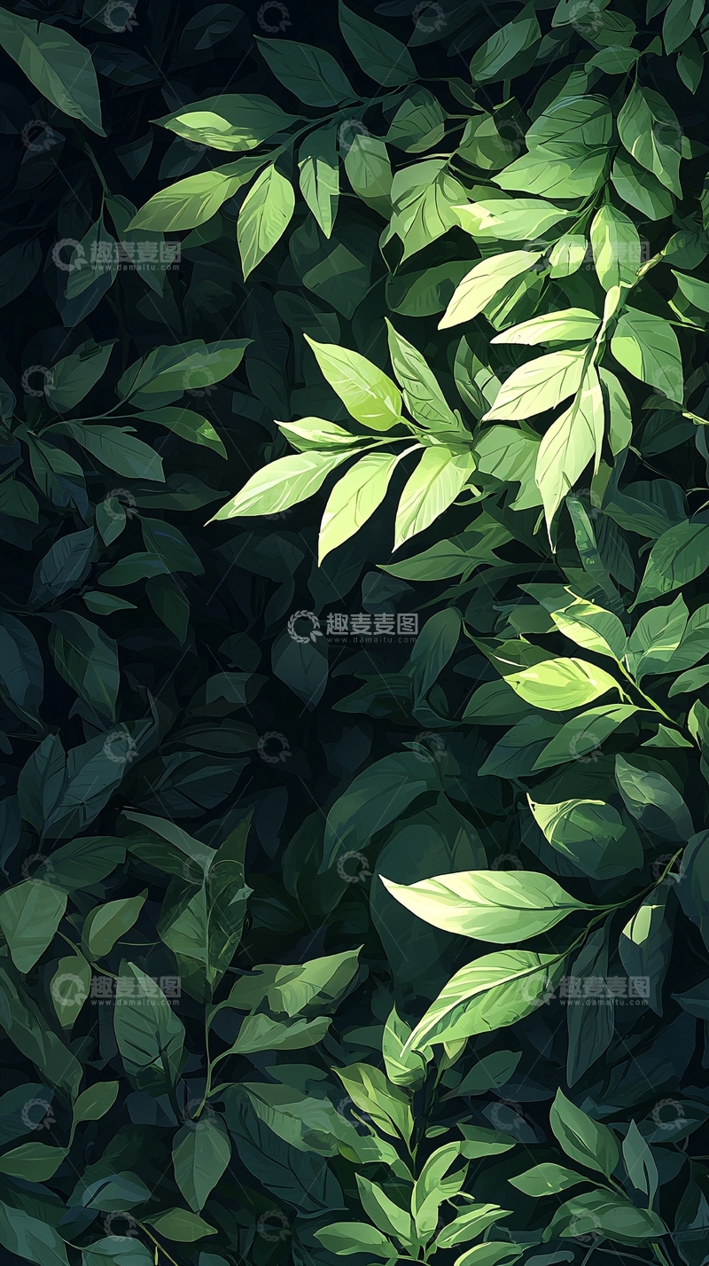 高清大图下载【趣麦麦图】深绿色植物叶子背景图
