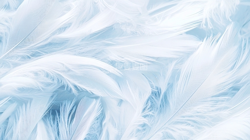 高清大图下载【趣麦麦图】羽毛背景纹理素材