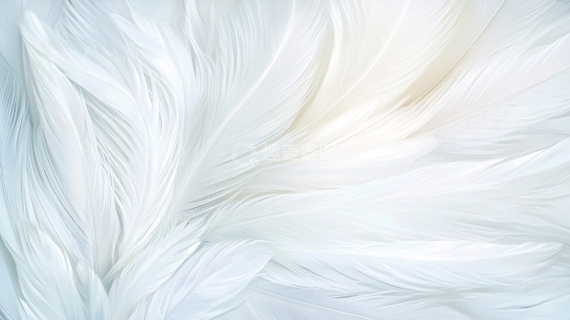 高清大图下载【趣麦麦图】白色羽毛纹理背景