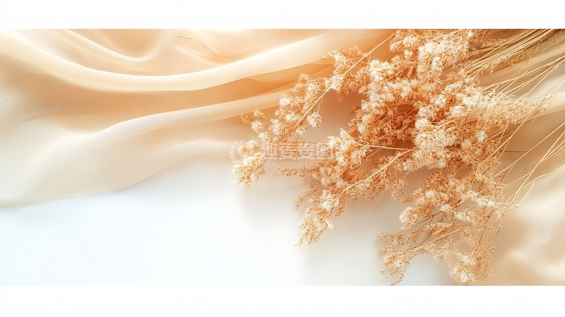 高清大图下载【趣麦麦图】干花与丝质布料背景