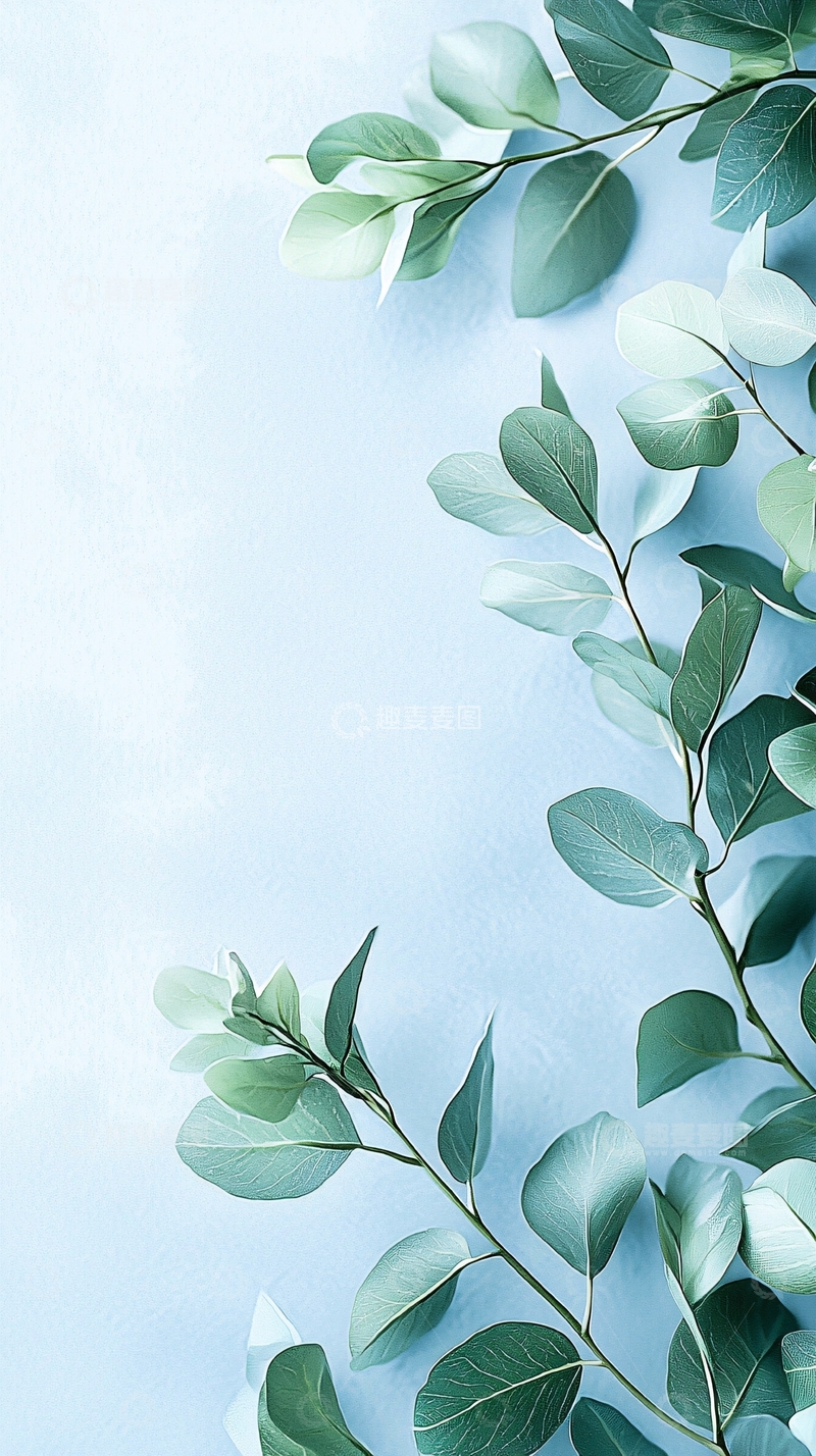 高清大图下载【趣麦麦图】清新绿叶背景素材