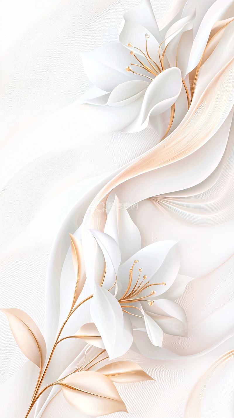 高清大图下载【趣麦麦图】白色花朵与金色线条的艺术插画