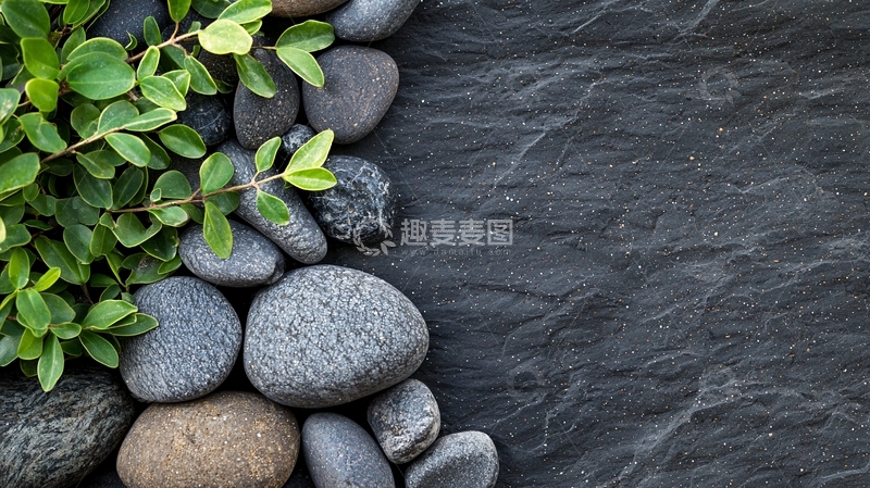 高清大图下载【趣麦麦图】黑石绿叶自然背景