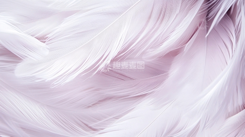 高清大图下载【趣麦麦图】粉色羽毛纹理背景