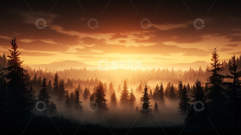 高清大图下载【趣麦麦图】晨雾中的森林剪影