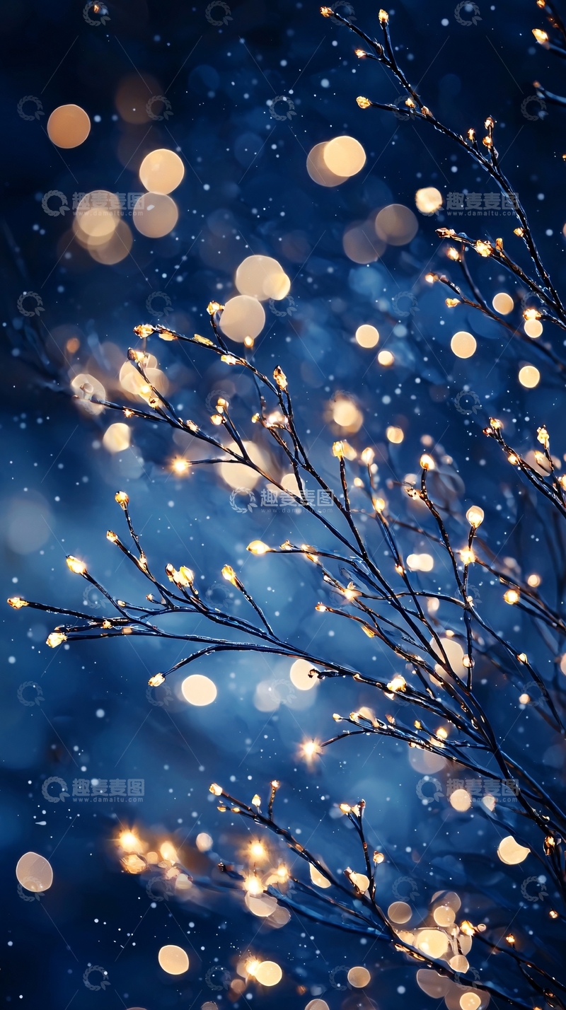 高清大图下载【趣麦麦图】冬夜树枝上的灯光