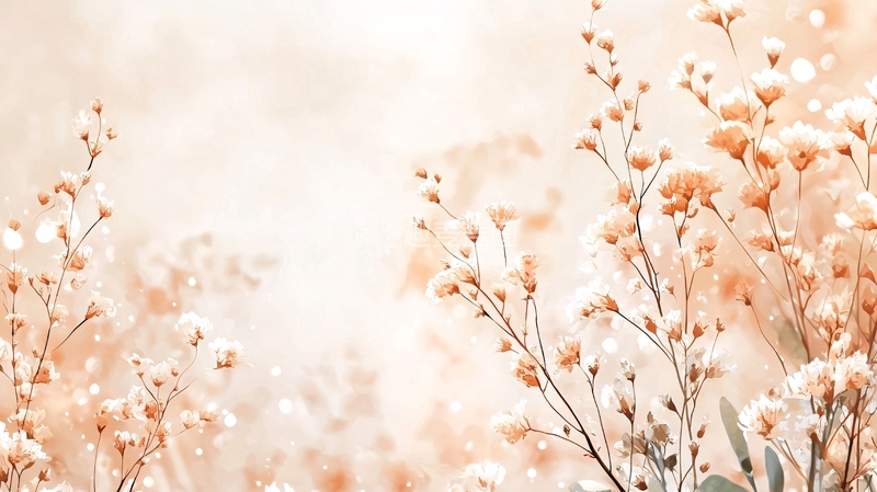 高清大图下载【趣麦麦图】秋日温暖花海背景图