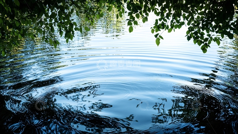 高清大图下载【趣麦麦图】宁静湖面与树影