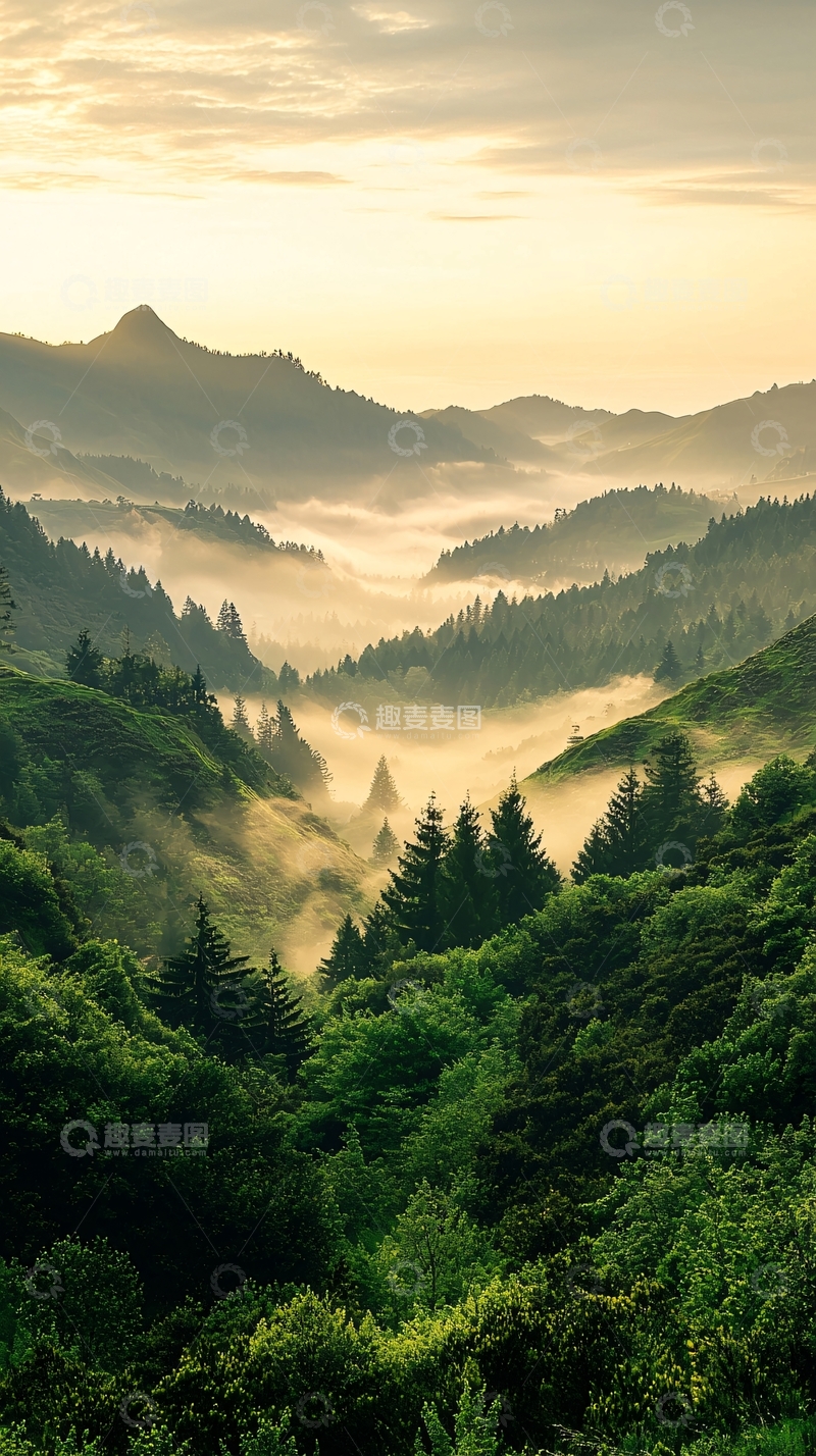 高清大图下载【趣麦麦图】晨雾中的山谷风景
