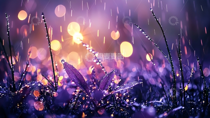 高清大图下载【趣麦麦图】雨后草地上的露珠