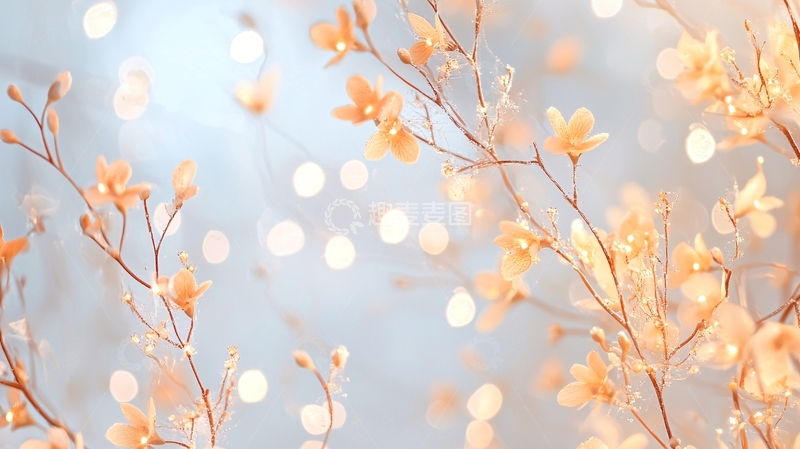 高清大图下载【趣麦麦图】冬日雪景中的花朵