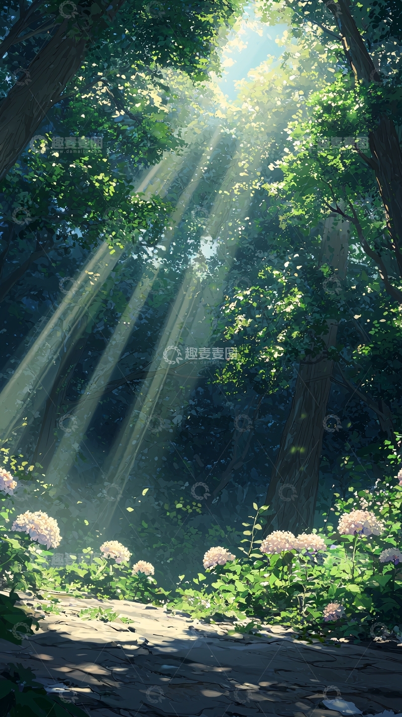 高清大图下载【趣麦麦图】森林中的阳光与花朵