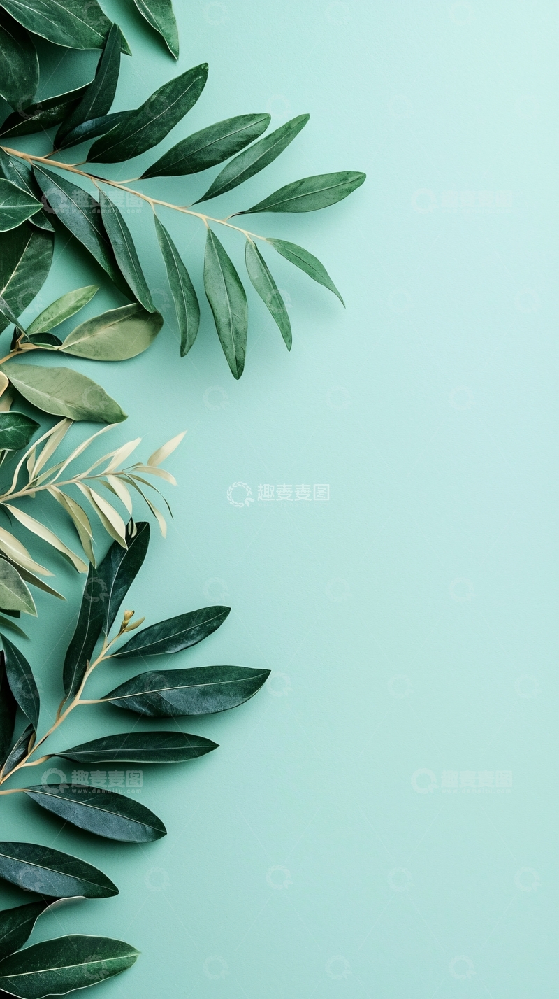 高清大图下载【趣麦麦图】清新绿叶背景素材