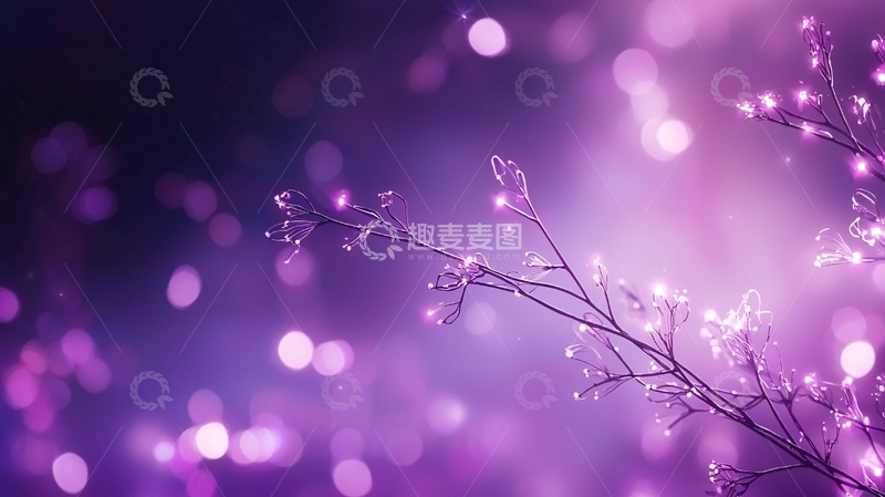 高清大图下载【趣麦麦图】紫色梦幻树枝光斑背景