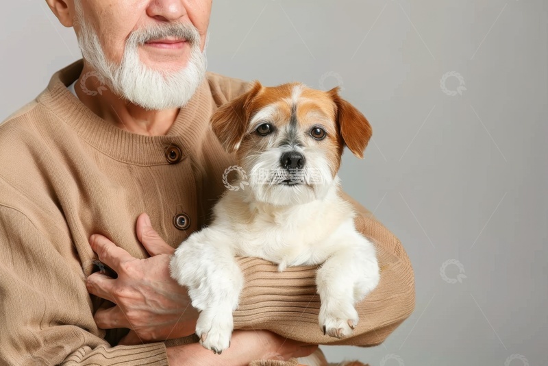 高清大图下载【趣麦麦图】抱着小狗的老爷爷