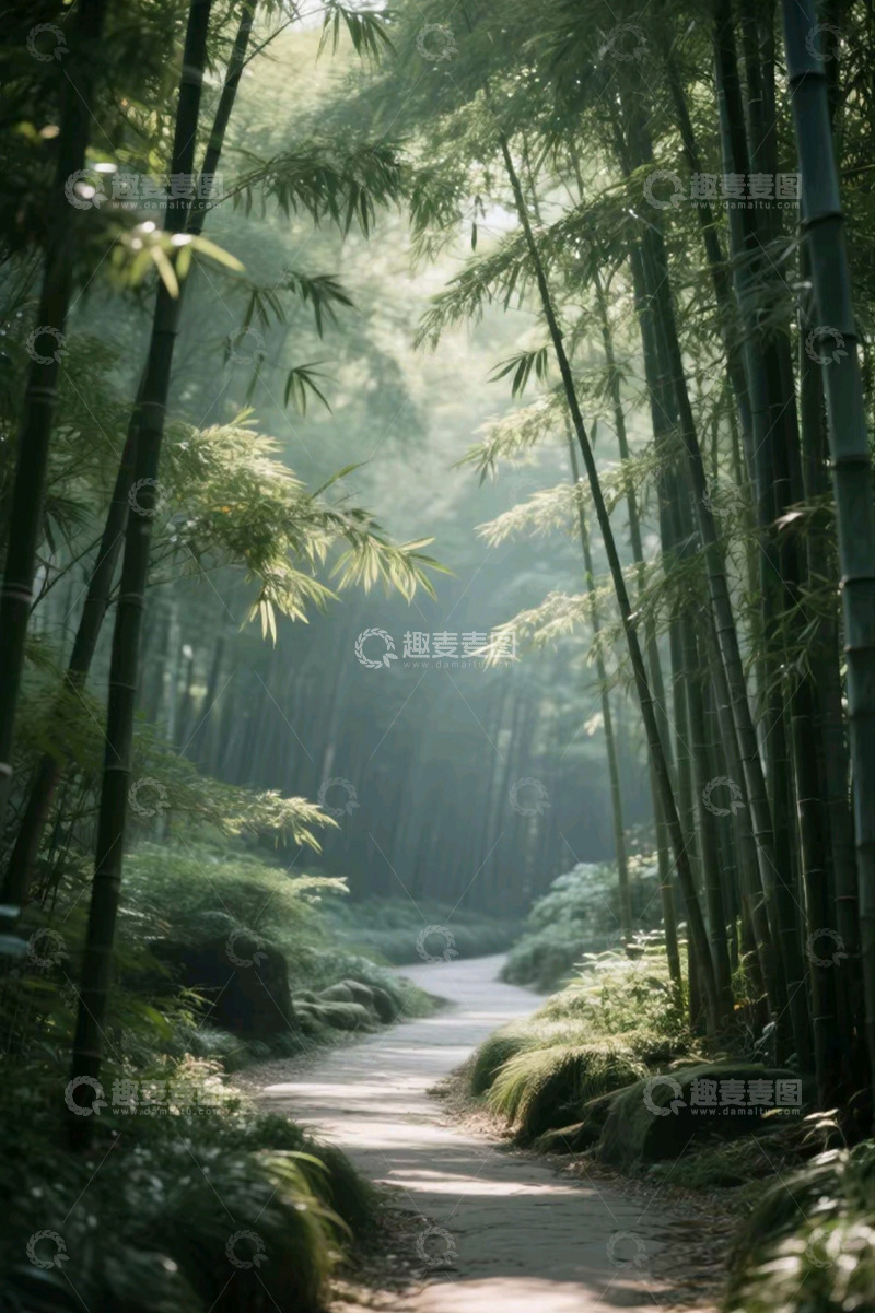 高清大图下载【趣麦麦图】竹林小路阳光