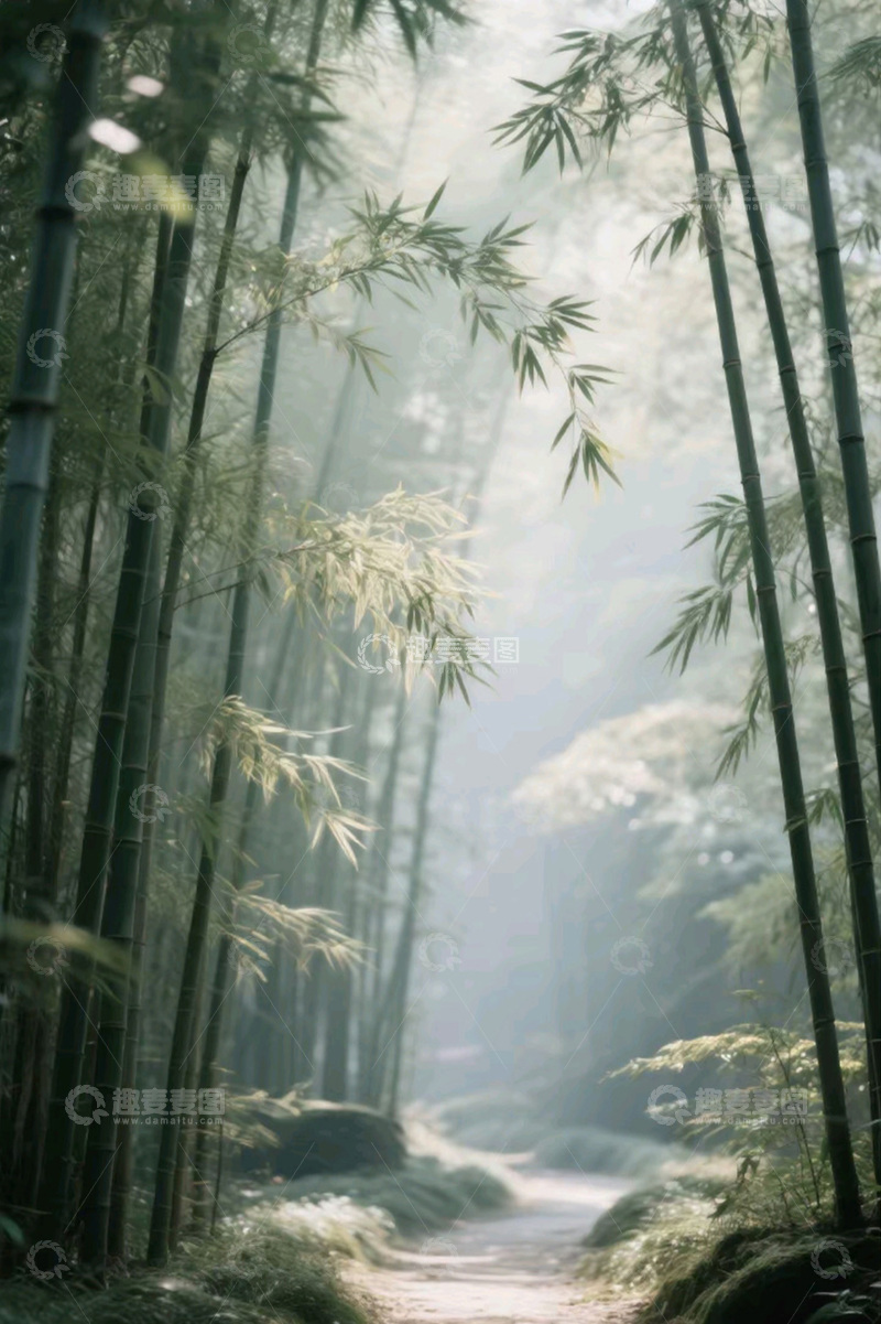 高清大图下载【趣麦麦图】竹林小路阳光下