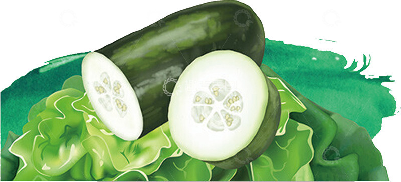 高清大图下载【趣麦麦图】-冬瓜手绘水彩素材图片