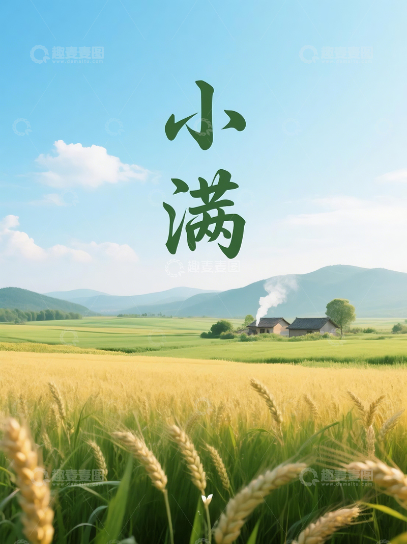 高清大图下载【趣麦麦图】小满节气极简主义海报设计