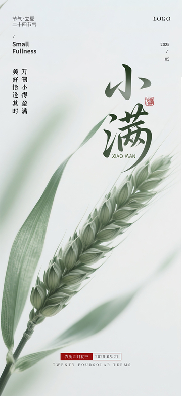 小满节气系列海报