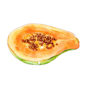 黄色水彩风手绘木瓜