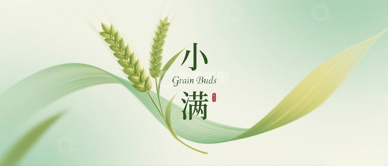 高清大图下载【趣麦麦图】小满插画海报横板2