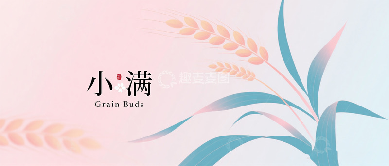 高清大图下载【趣麦麦图】小满插画海报横板3