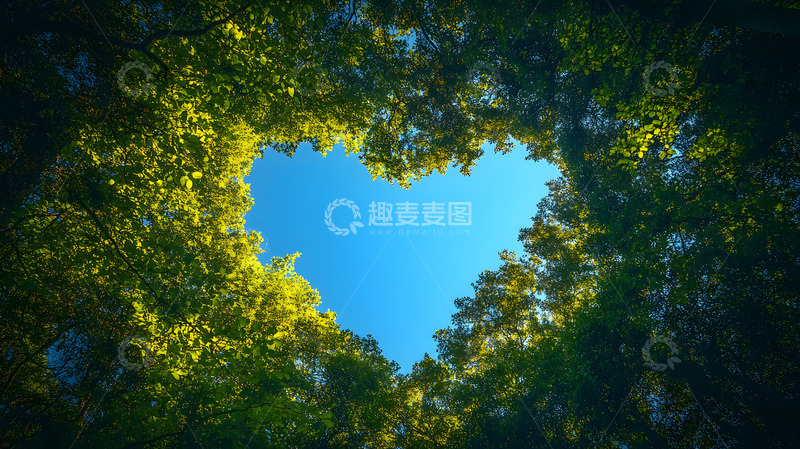 高清大图下载【趣麦麦图】树叶天空创意摄影