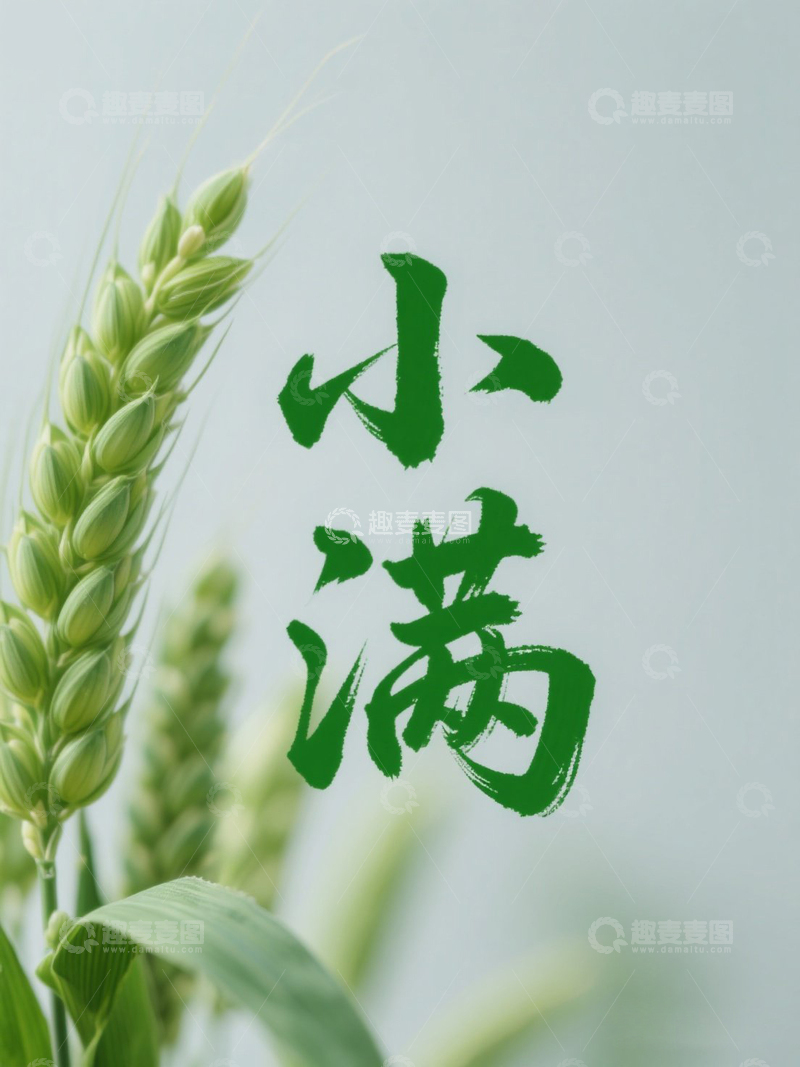 高清大图下载【趣麦麦图】二十四节气小满1