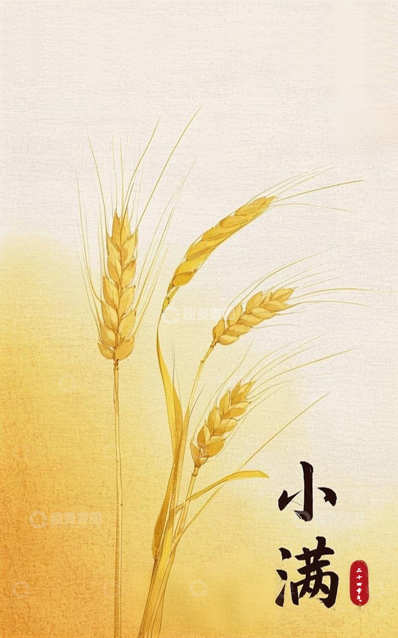 高清大图下载【趣麦麦图】-二十四节气小满3