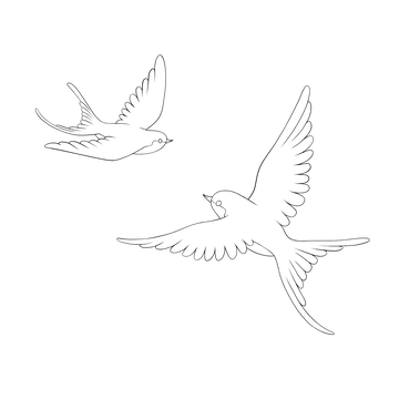 两只飞翔的小鸟线稿