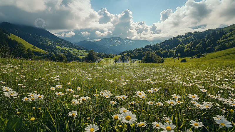 高清大图下载【趣麦麦图】高山上的草地