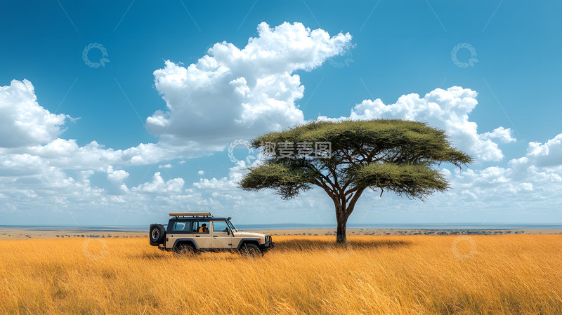 高清大图下载【趣麦麦图】非洲大草原上的越野车6