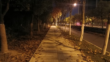 夜晚的林荫道