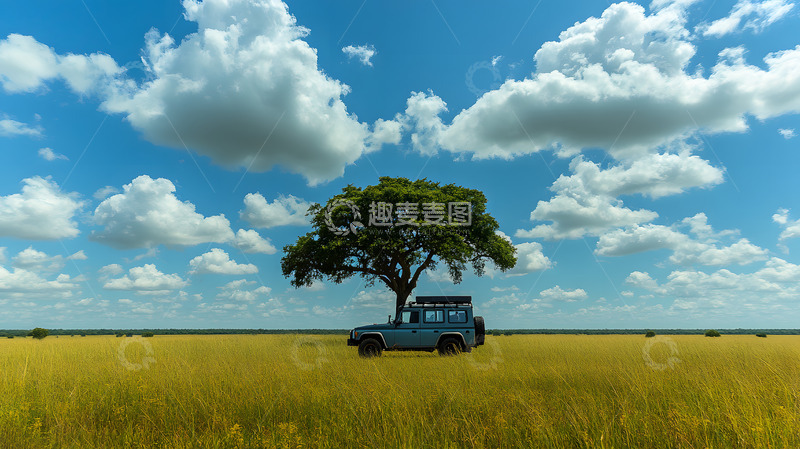 高清大图下载【趣麦麦图】非洲大草原上的越野车3