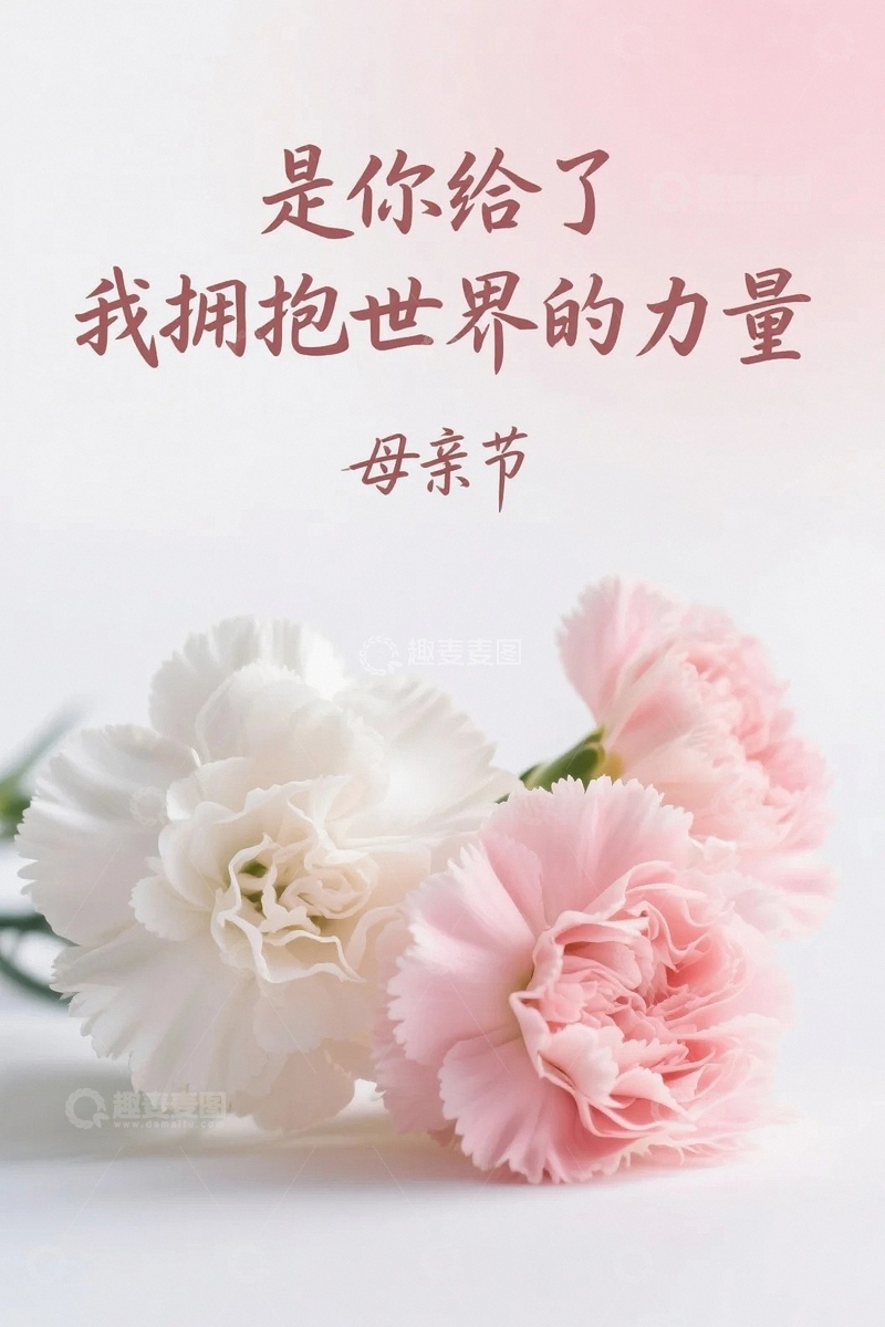 高清大图下载【趣麦麦图】母亲节康乃馨7