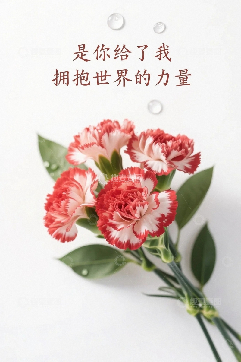 高清大图下载【趣麦麦图】母亲节康乃馨背景6