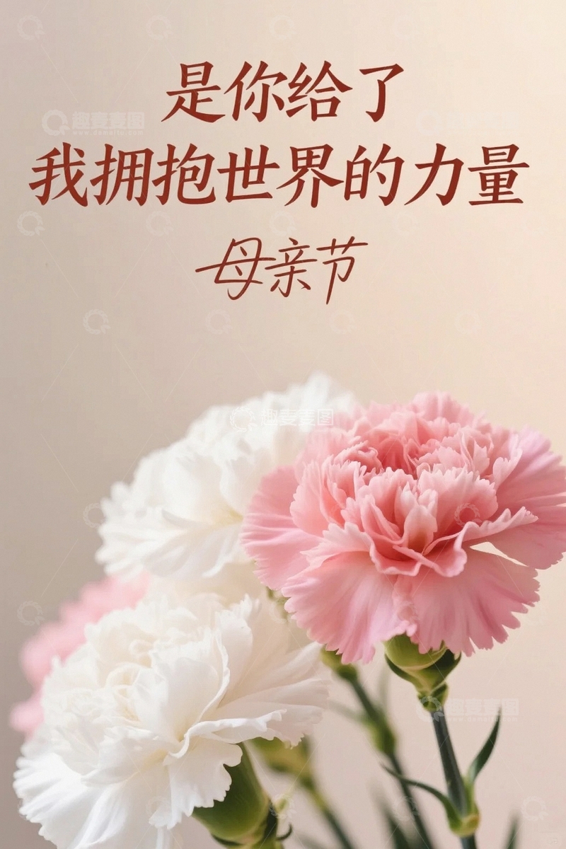 高清大图下载【趣麦麦图】母亲节康乃馨背景3