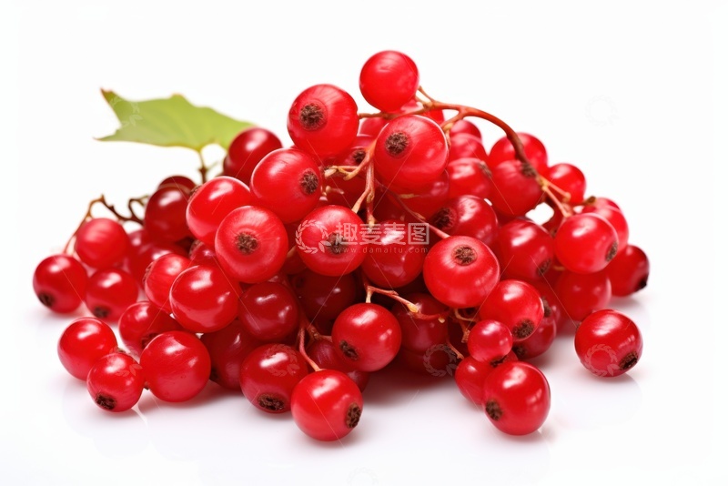 高清大图下载【趣麦麦图】新鲜的一堆五味子