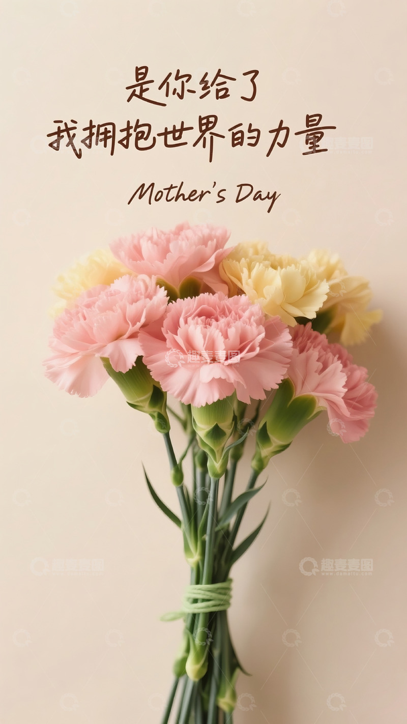 高清大图下载【趣麦麦图】母亲节海报33