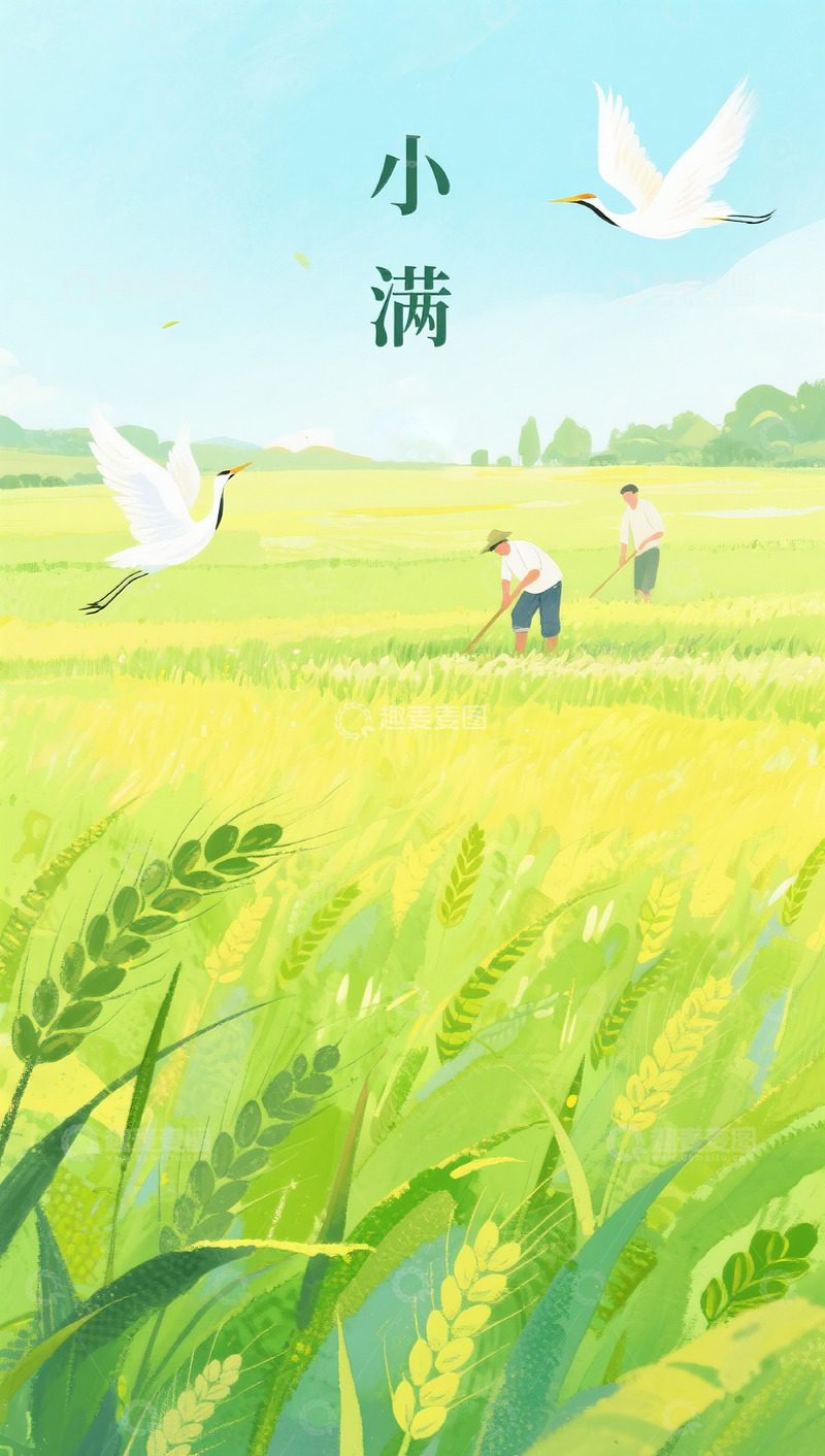 高清大图下载【趣麦麦图】小满海报20