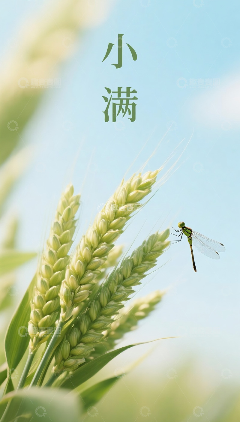 高清大图下载【趣麦麦图】小满海报8