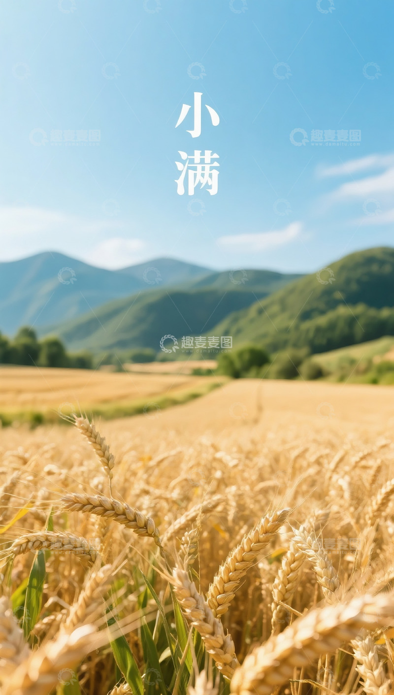 高清大图下载【趣麦麦图】小满海报51