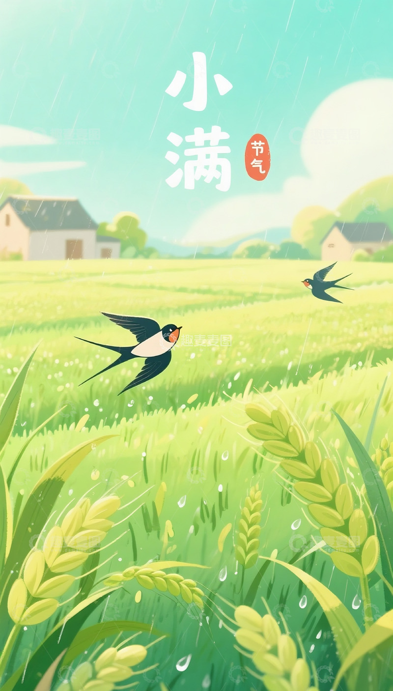 高清大图下载【趣麦麦图】小满海报53